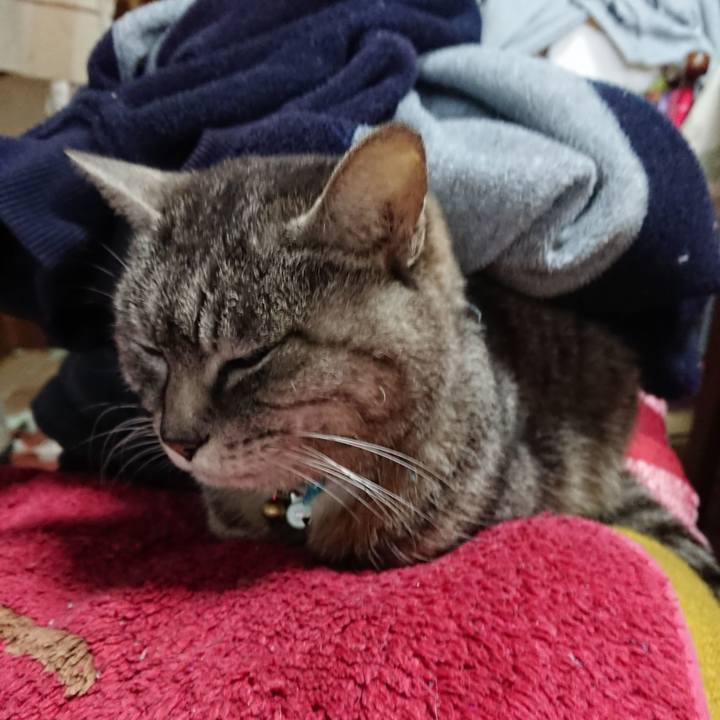 0bc4b036 ee26 42fd b2e8 3f47bc88ff2f 1553808658826