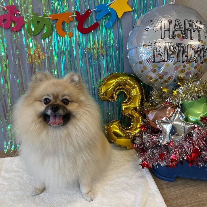 0bc4b272 916c 4b8c b0ff fa13dd25534c 1696326097980