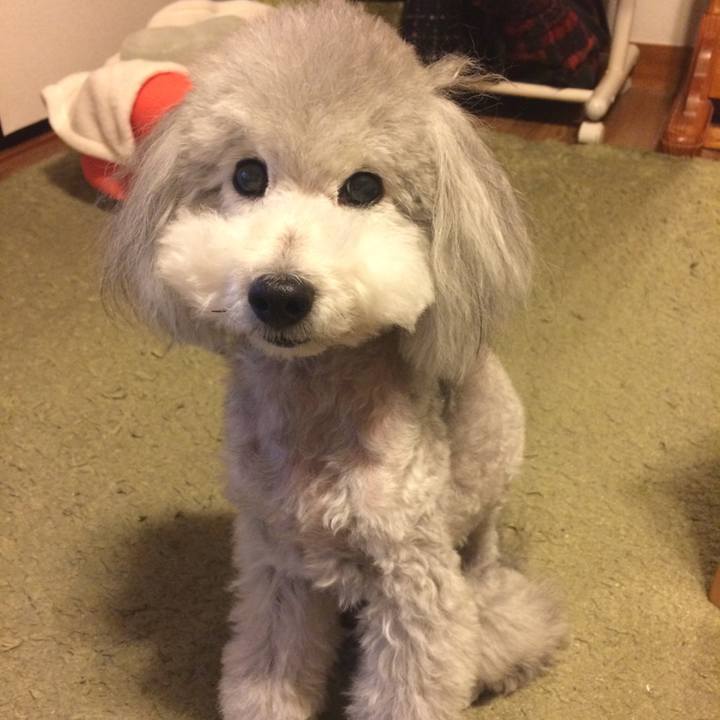 0bc528d8 0968 4cbc aa4b d69374d12ee9 1515759048685