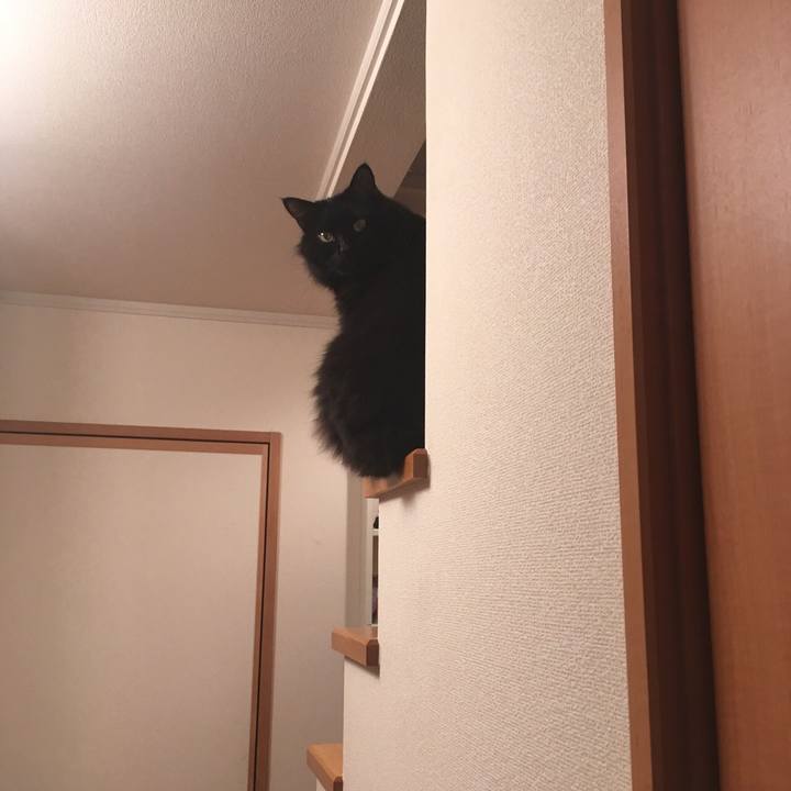 0bc55887 7ab6 4aa8 aa3e f717f79a8c21 1511776796622