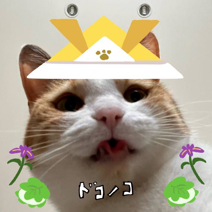 0bc582cc d6ca 4b8a a512 f0d1bc6a76d6 1715152769511