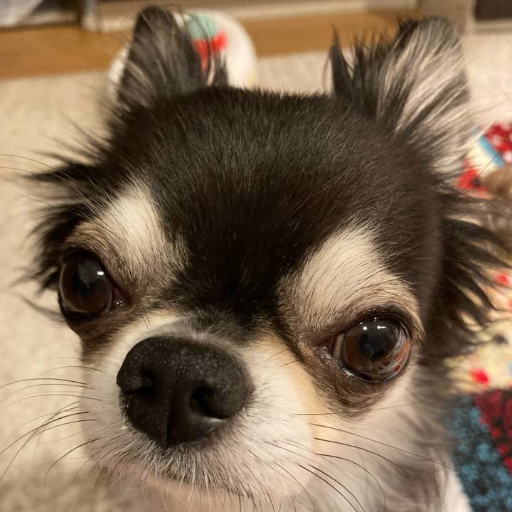 0bc5a09a 3d7d 47c5 8410 724c61a9b38f 1714926263652