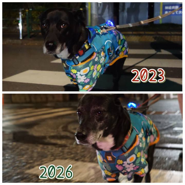 0bc5daa9 058e 4f17 baae bcb988344f11 1772067194681