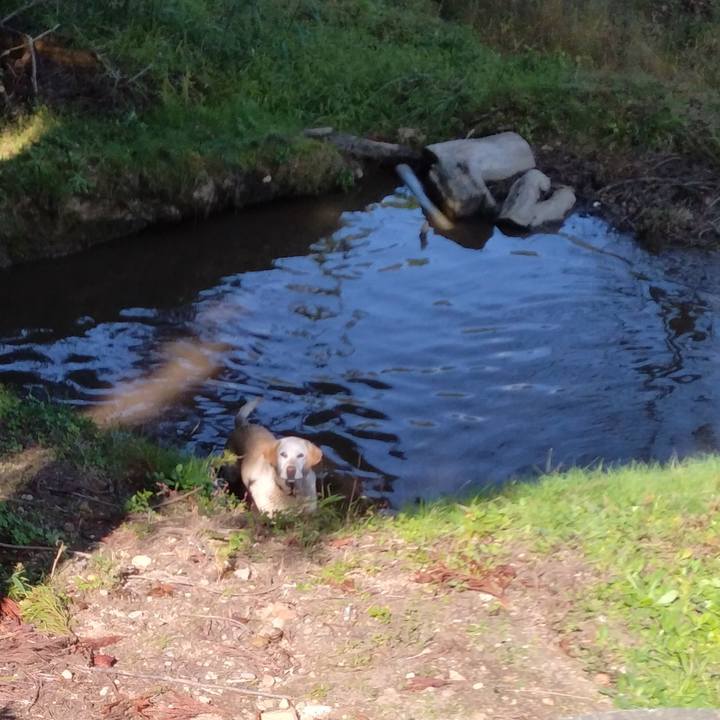 0bc5dbee 3da0 4263 8e79 76c7fb133377 1698320894365