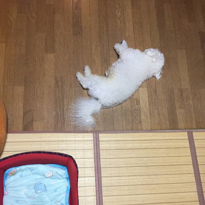 0bc5e427 7f72 41b5 9f08 892ce6429b49 1531569031297