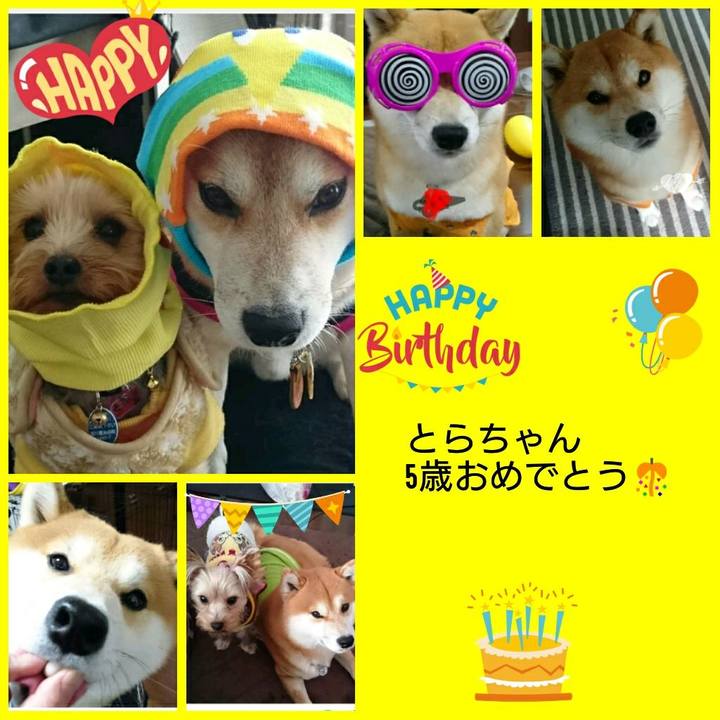 0bc5f9e4 9caa 4542 a97c b159e199ce00 1528534501291