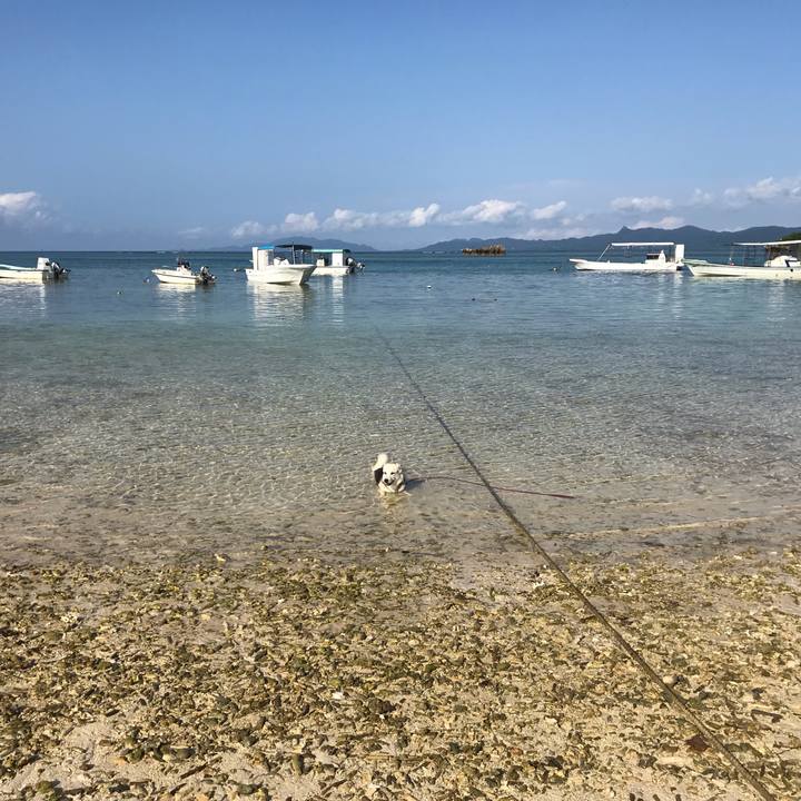 0bc5fbd8 4490 41ac ba34 a7d75772630f 1555747790112