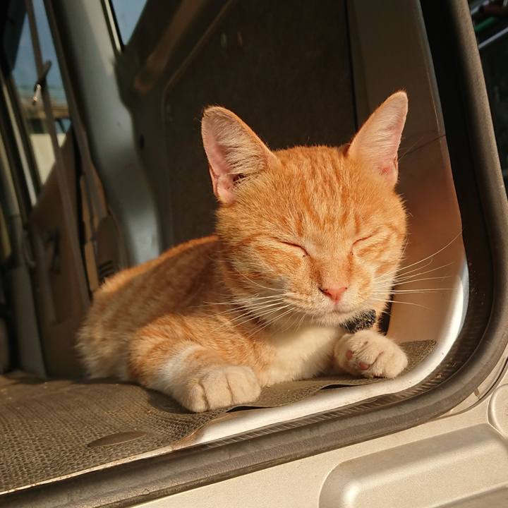 0bc6098e 6cc7 47e2 9955 cc8d09c39df3 1565211729436