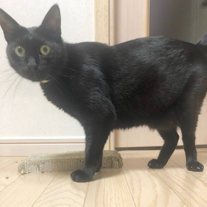 0bc6184d 1074 476e 9b67 d1bbb669fbca 1589455104920