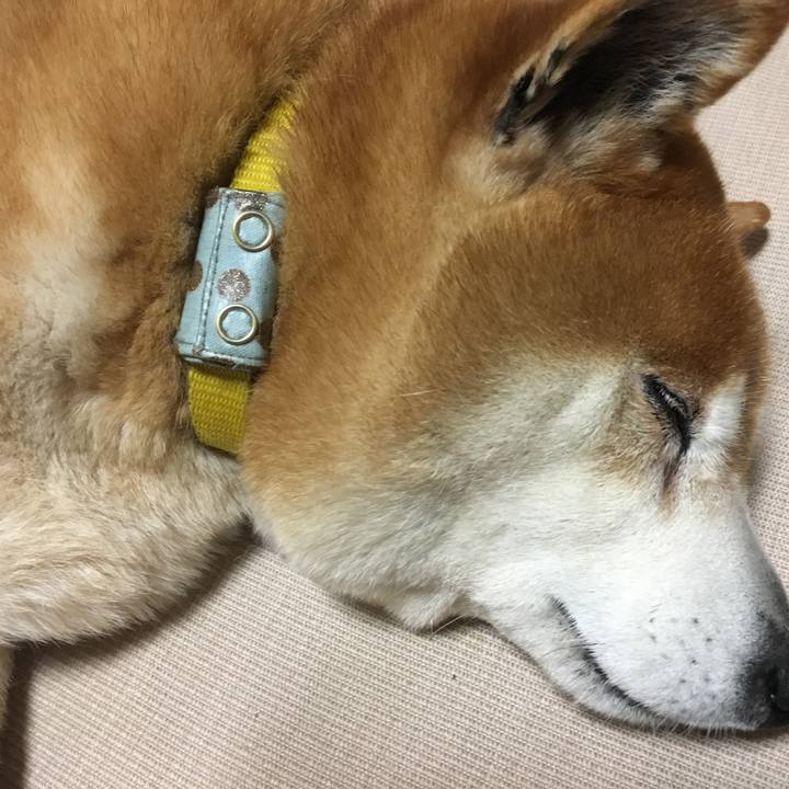 0bc62400 06b4 483c 8cd3 e1889cb5b43b 1525524534876