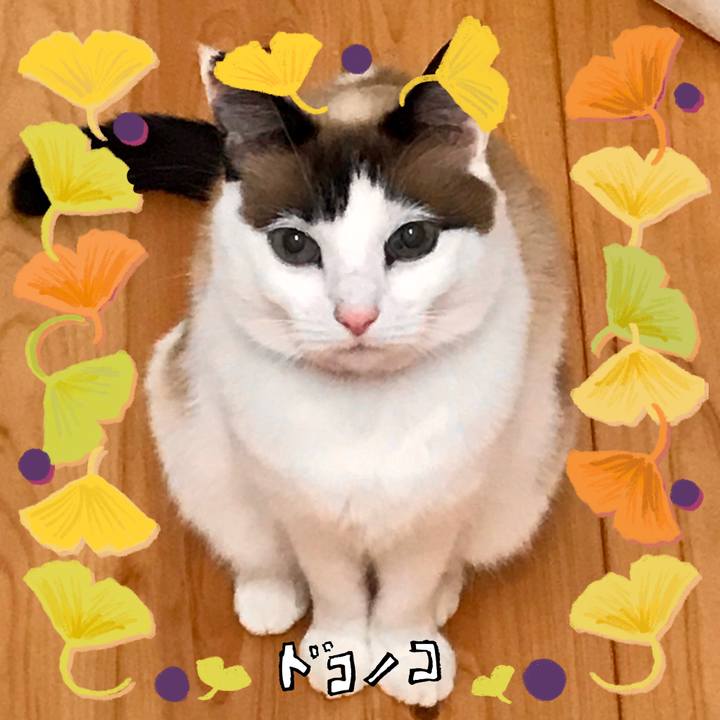 0bc6570d cfa4 4e1f 93bc 7984b8670f42 1729325047198