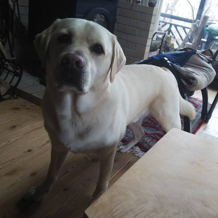 0bc6849d 476a 4840 95e4 4dcf20942df3 1556587751258