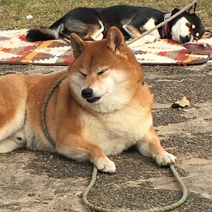 0bc706b9 3601 4baa 941d 8791f6def170 1574911658802