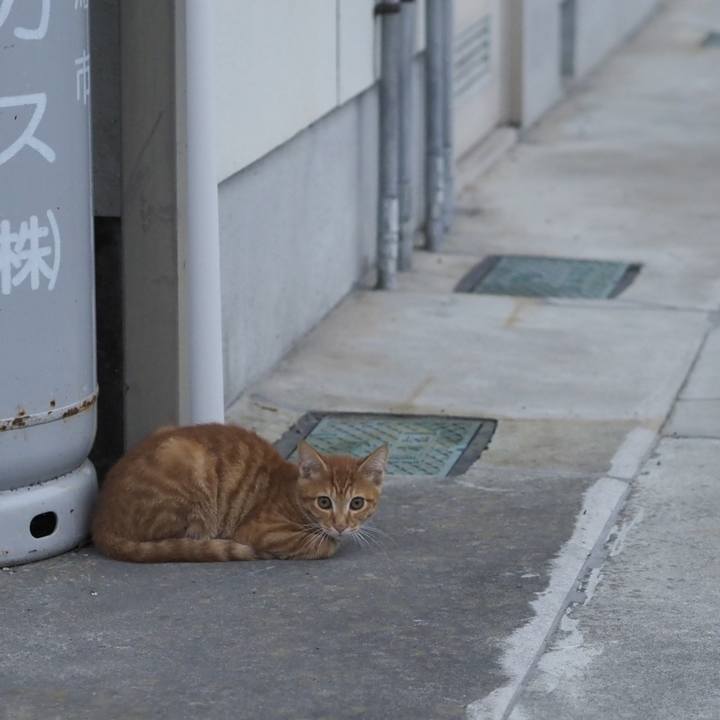 0bc718c0 d1ef 44e7 bb66 8de28a7c2e46 1661942290519