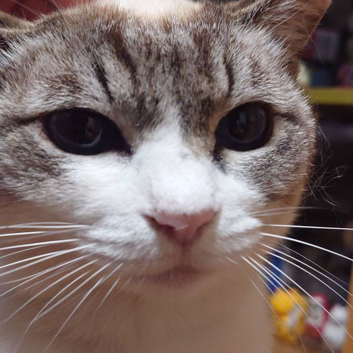 0bc71b2c a7c5 49bd ae3e 1a3b5125bdea 1748781990790