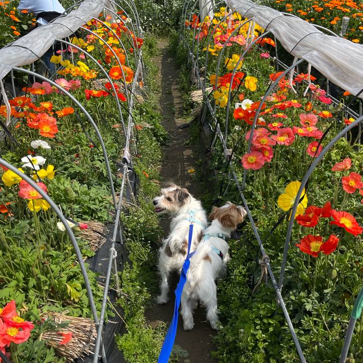 0bc76020 dd45 400c aa3e ed769adc956f 1774781642356