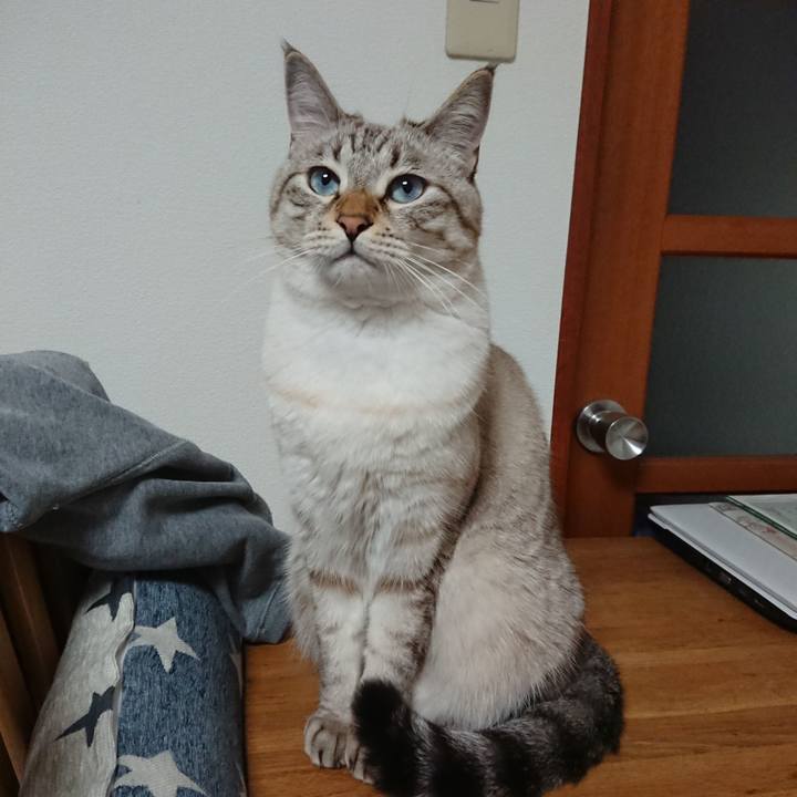 0bc78ff9 cd0e 4131 9db7 70e233bdfa04 1541414392742