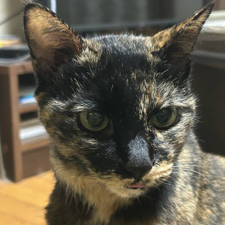 0bc796c7 476a 4e68 82d5 8e58f92eaf9b 1761743481677