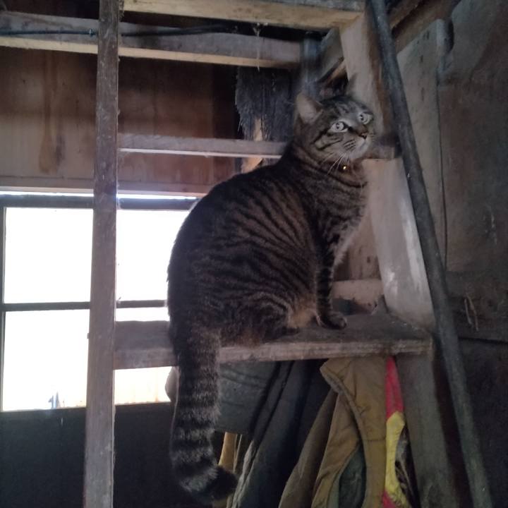 0bc7d304 473e 4819 a775 acb26c6a89db 1676875555733