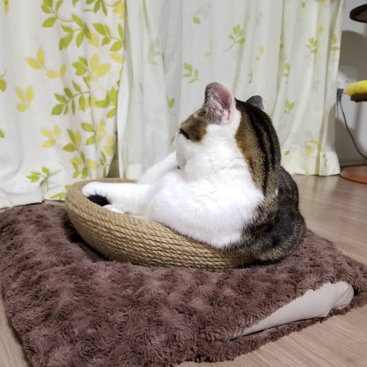 0bc7f820 86c3 4f16 94ae a163ceca7958 1614601432051