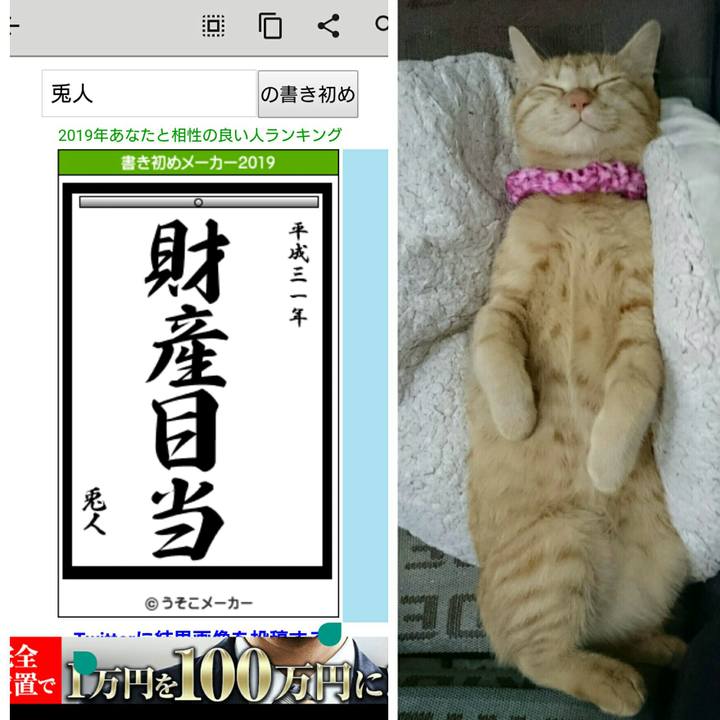 0bc84d9d 0b75 42f5 9407 fc94857236ef 1546442587762