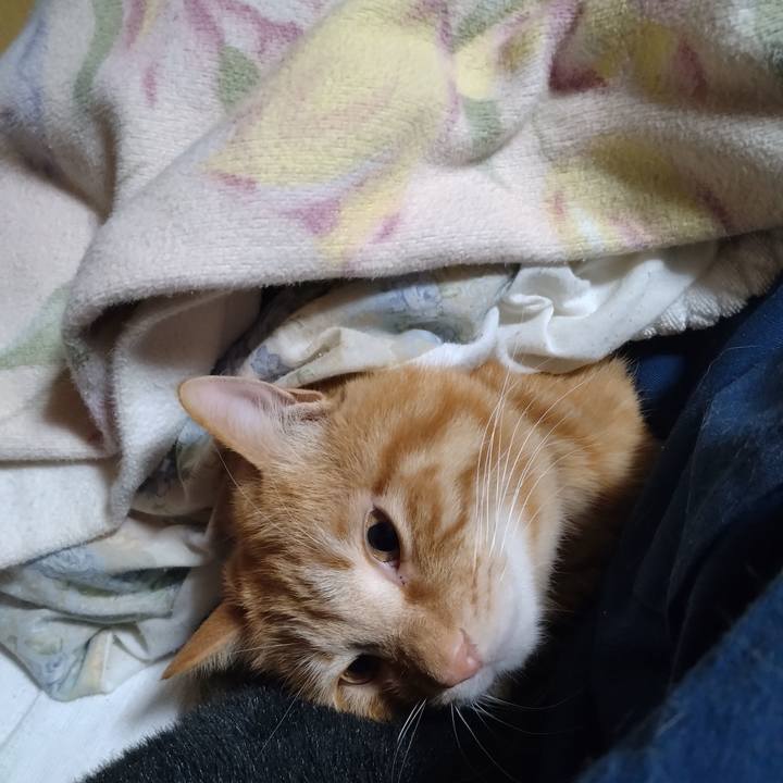 0bc8662a 2c1d 4f6f 98e6 f5ef8501fa6e 1678278259802