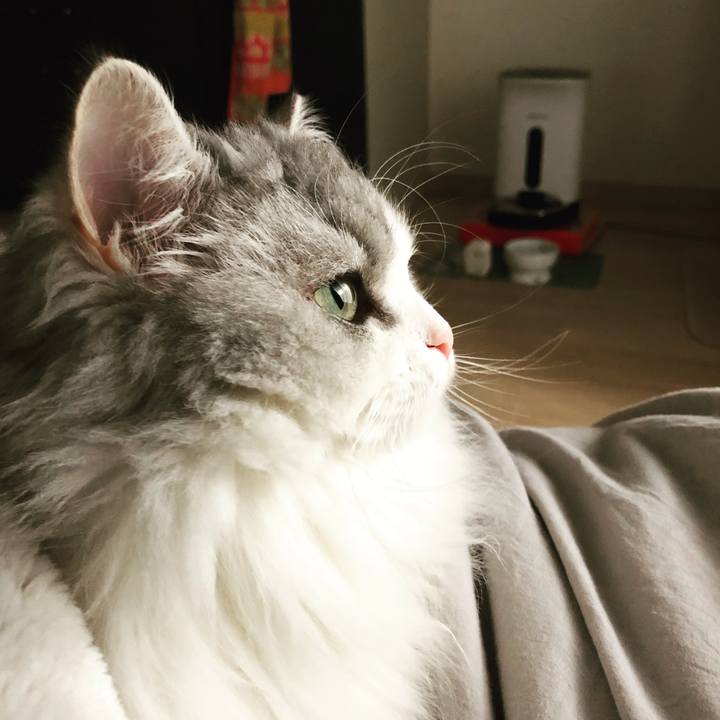 0bc8a24e 099a 45d3 a555 2c17a8a00eca 1547549221827