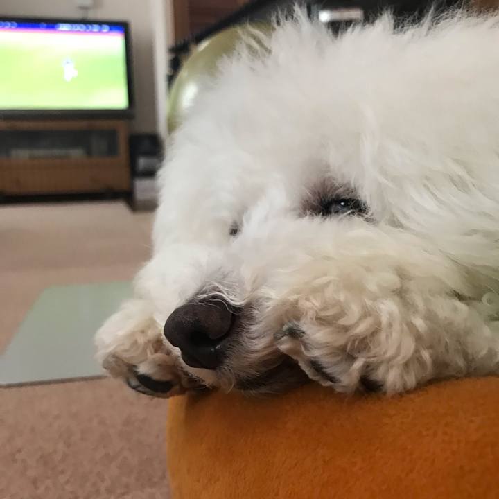 0bc8aa2c d747 42b3 9aeb 721a07668ec8 1592634158711