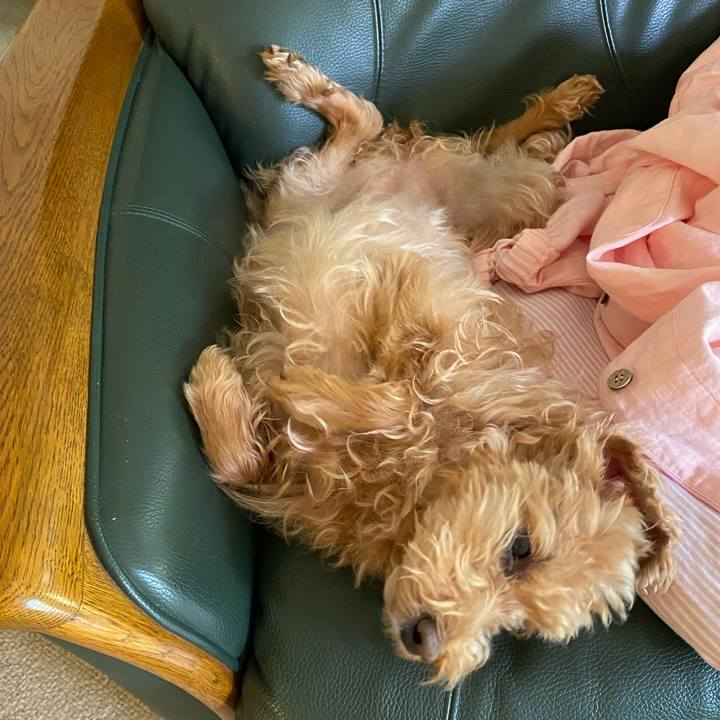 0bc8ad5f 54ef 44a6 9833 e76806f2c67e 1687562298583