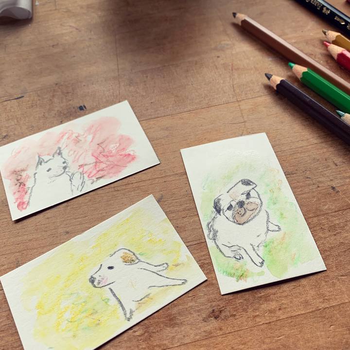 0bc8af10 0ca3 4d14 85b5 cb748751a278 1666485864028