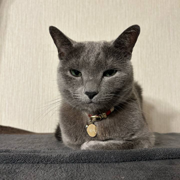 0bc8e21e 4718 4e61 8f5a 727f3f6748fb 1703546188684