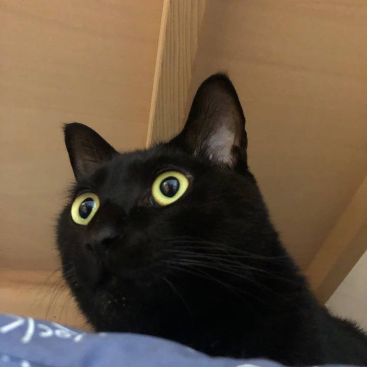 0bc904d1 b1ba 40d6 828d 32ab76c330a4 1580000911431