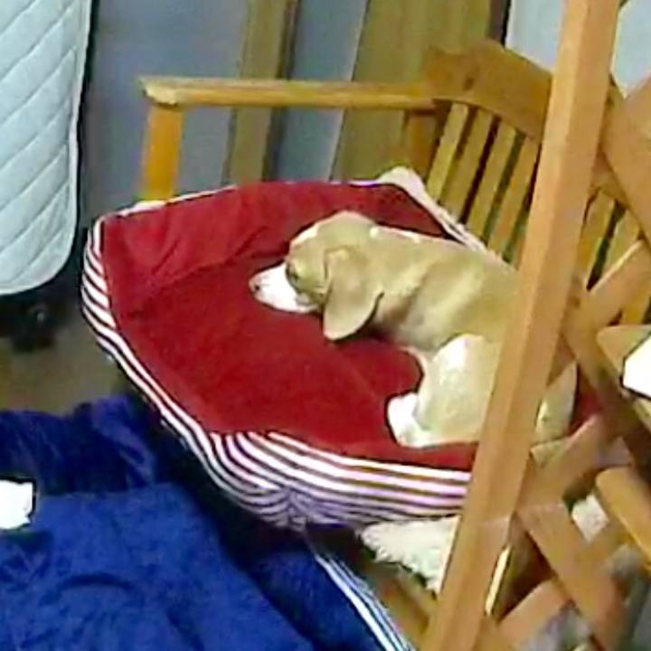 0bc9201c 8509 4393 9cac 83265396c21b 1564044675250