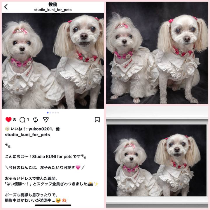 0bc93cfd 41ba 4bd6 a04a bc64ac0e40e3 1766574212338