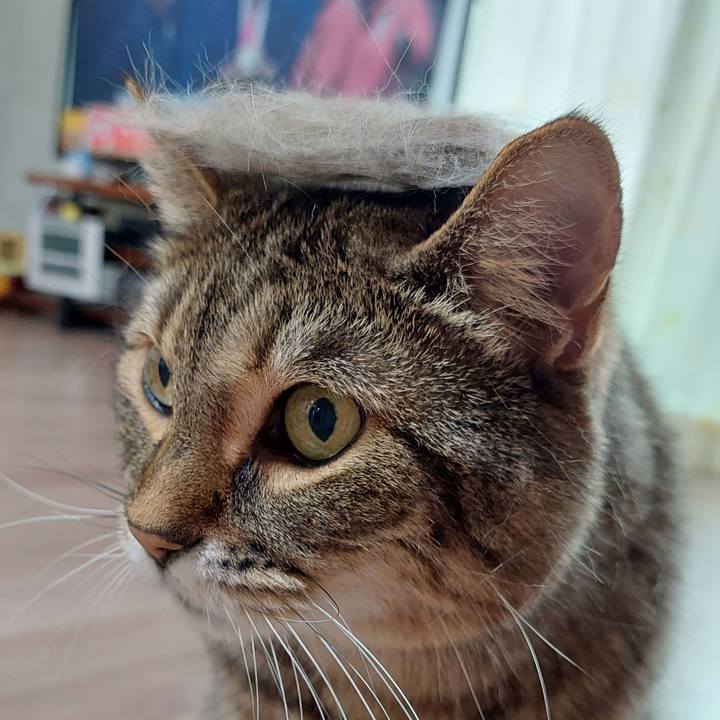 0bc99e23 e5ce 4a9b 9d3c 3e261bde357e 1748646396649