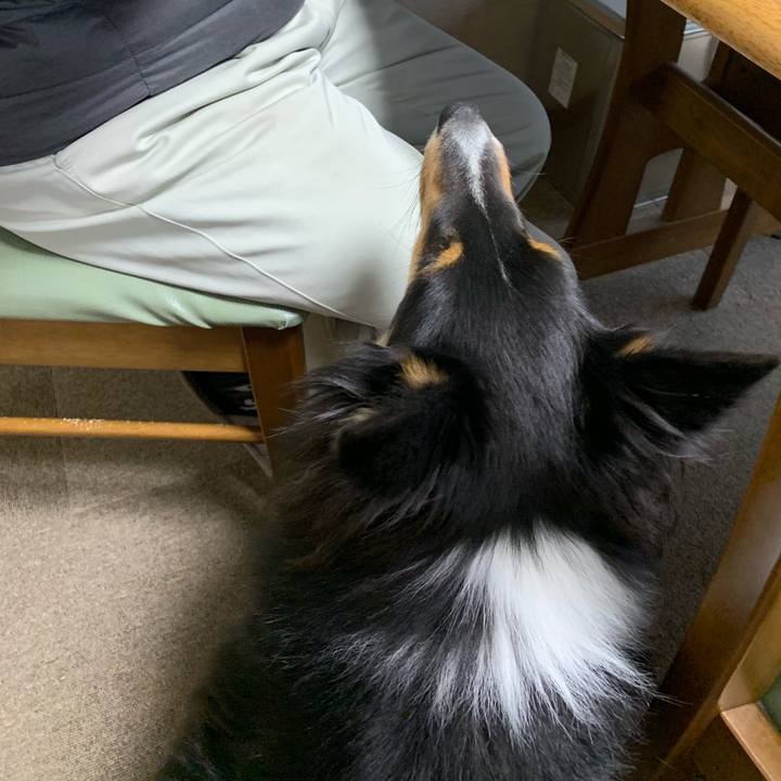 0bc9e4c2 348a 43e0 b25f 87563ea25f03 1573422184127