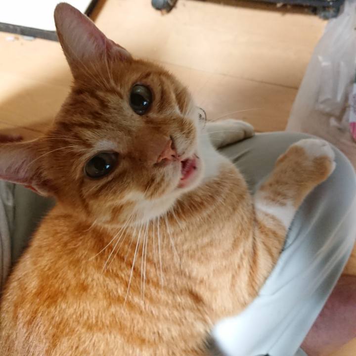 0bca2192 9704 475d 91c0 56bc94f2cc17 1600334689012