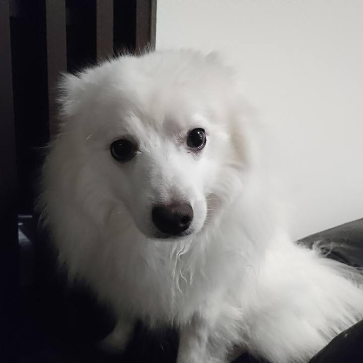 0bca6da2 6504 445b bb65 421645de3179 1581166038967