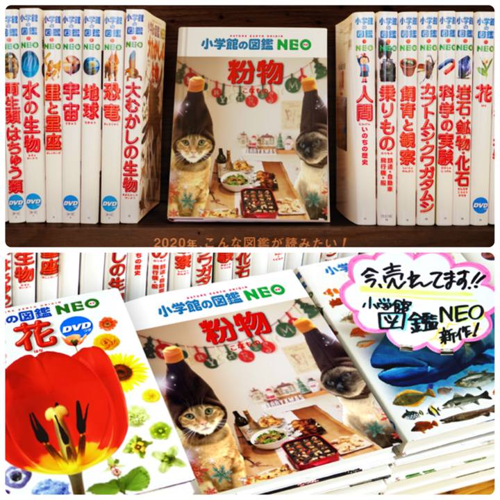 0bca71e1 e30b 48cb 8ff4 96fbdc08ff8a 1578015407210