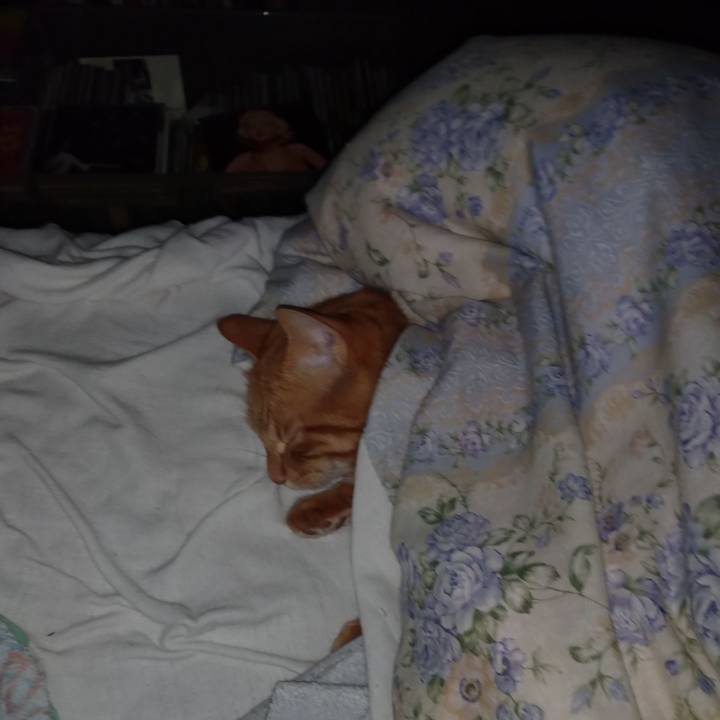 0bca7568 f5d8 44fa 9f86 c72dab71717d 1663783817159