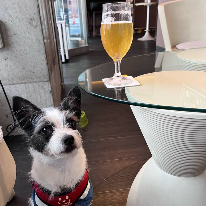 0bca932b 9562 491f 9e80 e73dccb71d56 1651557769199