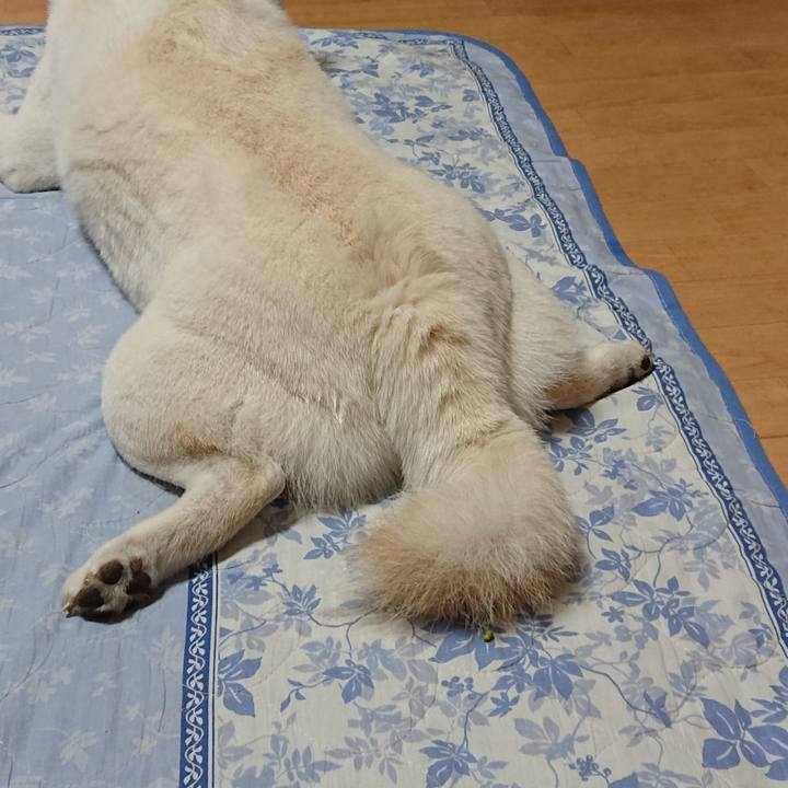 0bcaba79 f6b6 46f0 888e 05b5cc0cedcb 1587983970441