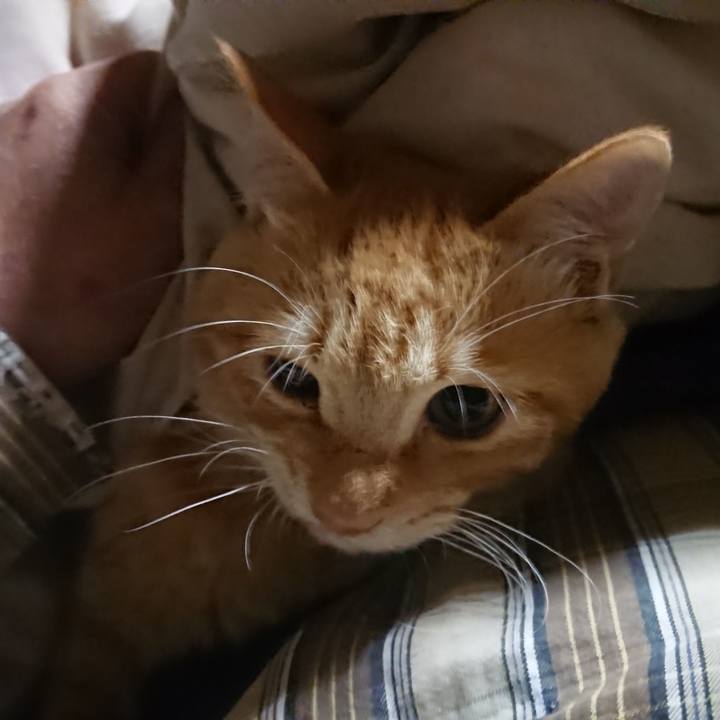 0bcaca65 9f3d 4592 a7fb 670f5d35252c 1637095531978