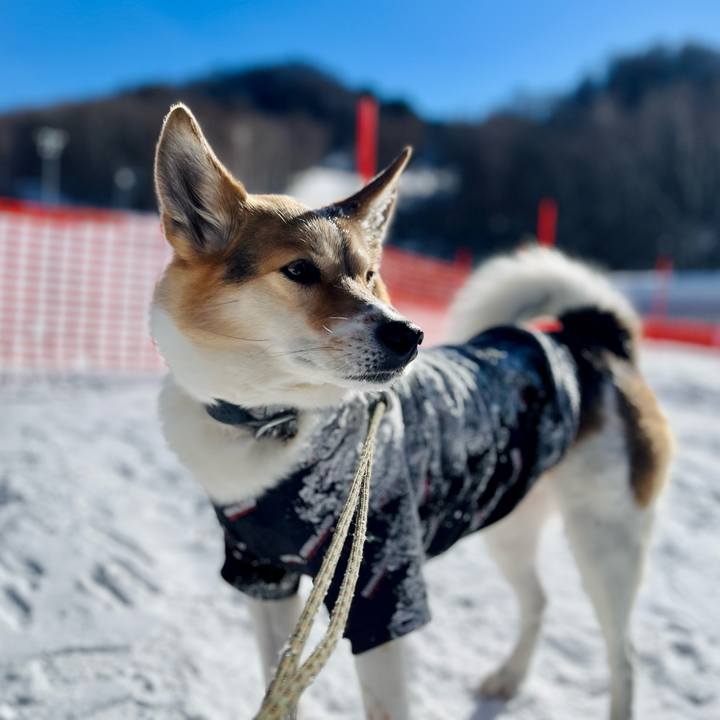 0bcacacb 163e 4fcf 8aba d951f5140e02 1767930601613