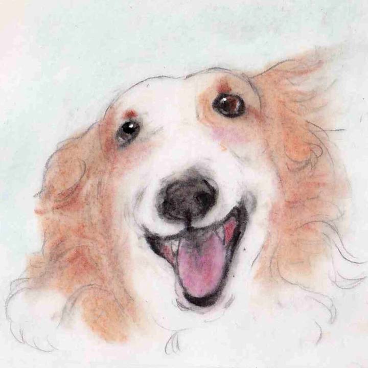 0bcace81 c02c 4427 b91e 5c3b2f1c56fe 1630944689085