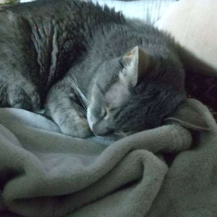 0bcae5a3 e1ef 4d3b 93a8 13a92a77d780 1759979672000