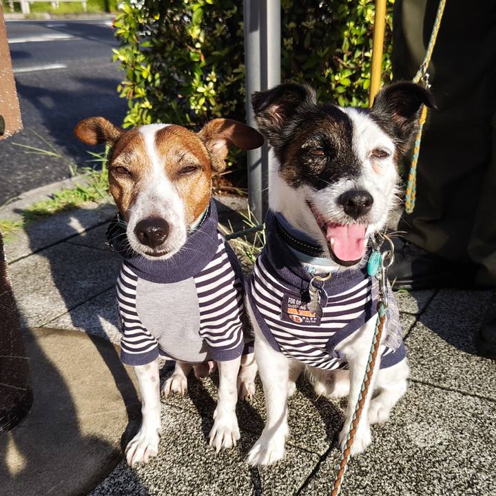 0bcb0ec1 a8a1 45f0 85a3 8d2089eca713 1723850950644