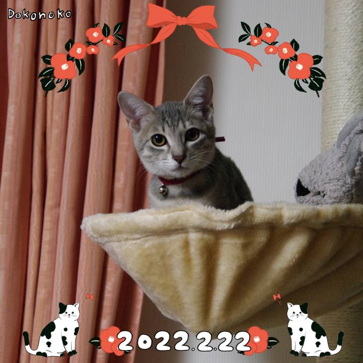 0bcb1390 3653 40c3 94c4 1f11ae7807ec 1645498754348