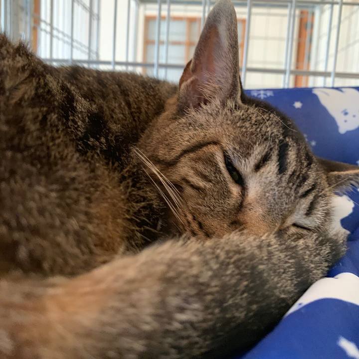 0bcb43c1 b274 4584 89b6 39b4740a2ee7 1567991673673