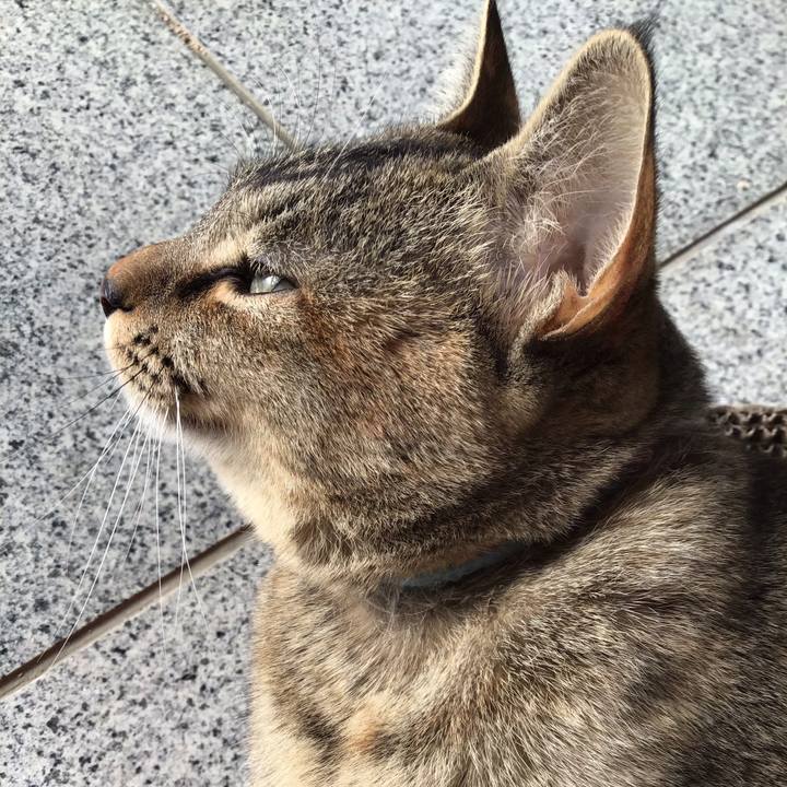 0bcba407 9af4 4119 b10b 0beaa67bd437 1580519163146